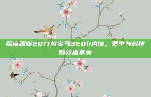 深度解析2017款宝马320li内饰，豪华与科技的双重享受