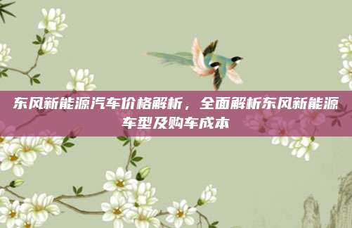 东风新能源汽车价格解析,全面解析东风新能源车型及购车成本