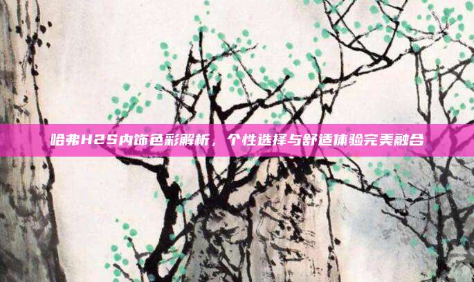哈弗H2S内饰色彩解析,个性选择与舒适体验完美融合