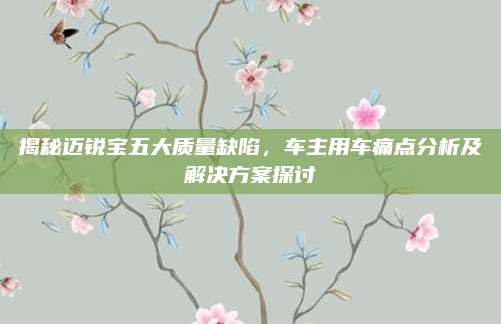 揭秘迈锐宝五大质量缺陷,车主用车痛点分析及解决方案探讨