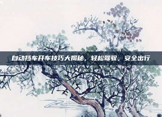 自动挡车开车技巧大揭秘,轻松驾驭,安全出行
