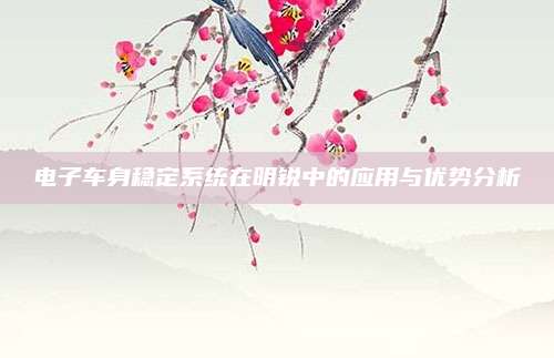 电子车身稳定系统在明锐中的应用与优势分析