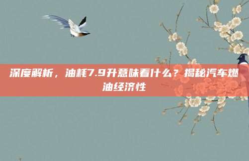 深度解析,油耗7.9升意味着什么?揭秘汽车燃油经济性