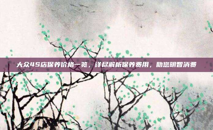 大众4S店保养价格一览,详尽解析保养费用,助您明智消费