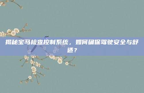 揭秘宝马检查控制系统,如何确保驾驶安全与舒适?