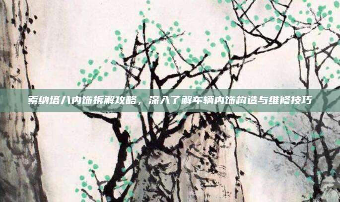 索纳塔八内饰拆解攻略,深入了解车辆内饰构造与维修技巧