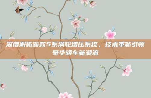 深度解析新款5系涡轮增压系统,技术革新引领豪华轿车新潮流
