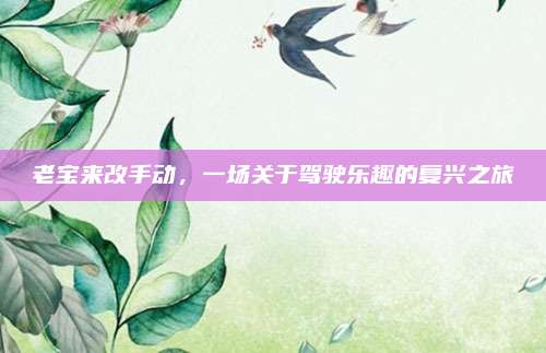 老宝来改手动,一场关于驾驶乐趣的复兴之旅