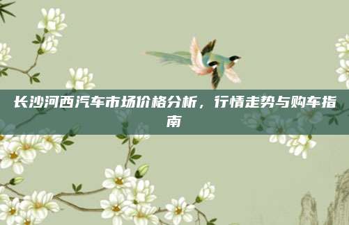长沙河西汽车市场价格分析，行情走势与购车指南