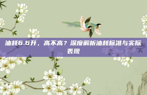 油耗6.6升,高不高?深度解析油耗标准与实际表现