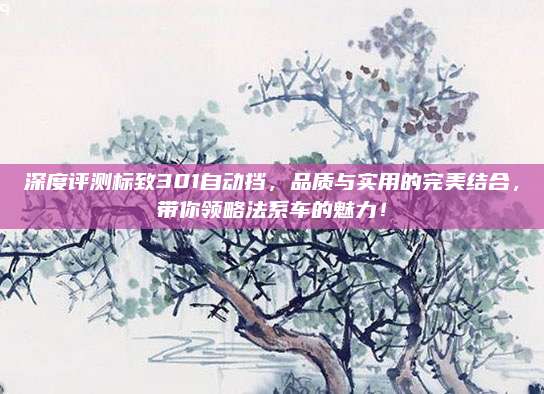 深度评测标致301自动挡，品质与实用的完美结合，带你领略法系车的魅力！