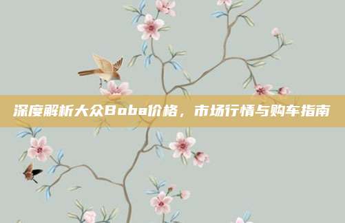 深度解析大众Boba价格,市场行情与购车指南