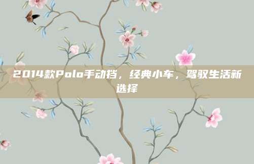 2014款Polo手动挡,经典小车,驾驭生活新选择