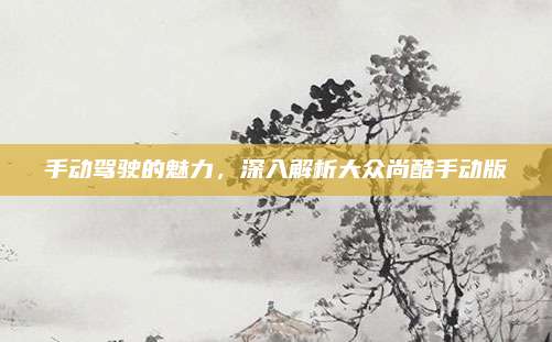 手动驾驶的魅力,深入解析大众尚酷手动版