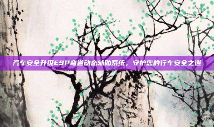 汽车安全升级ESP弯道动态辅助系统,守护您的行车安全之道