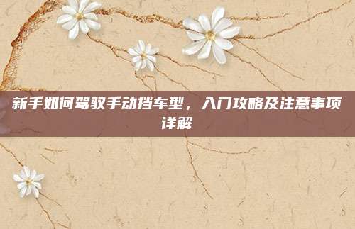 新手如何驾驭手动挡车型，入门攻略及注意事项详解