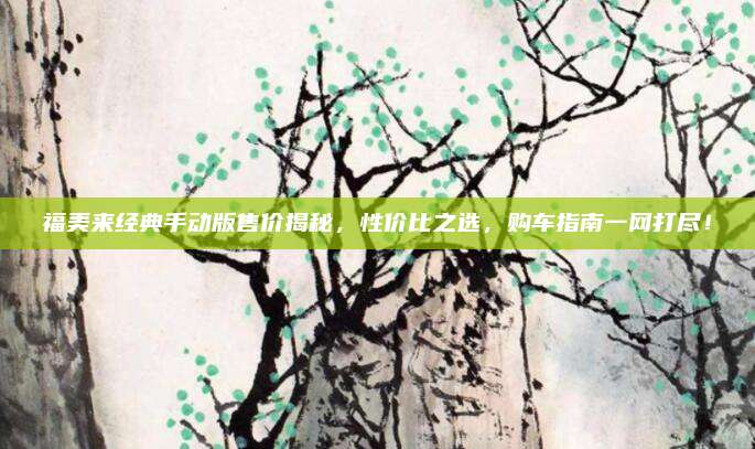 福美来经典手动版售价揭秘,性价比之选,购车指南一网打尽!