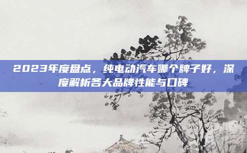 2023年度盘点，纯电动汽车哪个牌子好，深度解析各大品牌性能与口碑