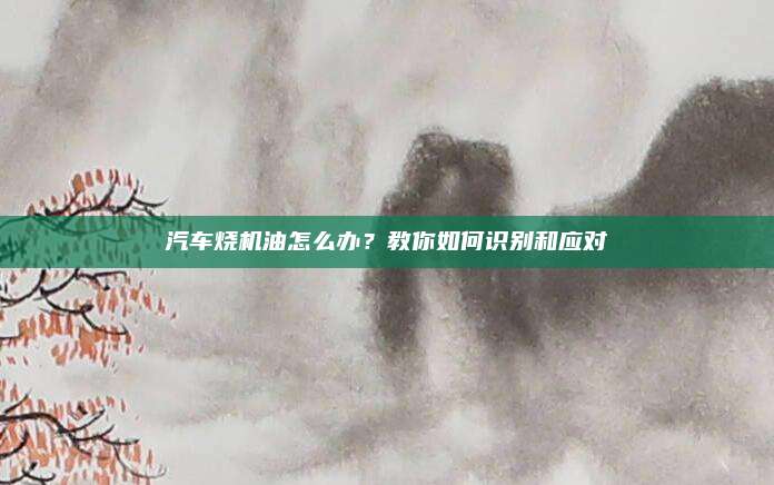 汽车烧机油怎么办？教你如何识别和应对