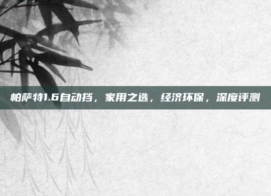 帕萨特1.6自动挡,家用之选,经济环保,深度评测