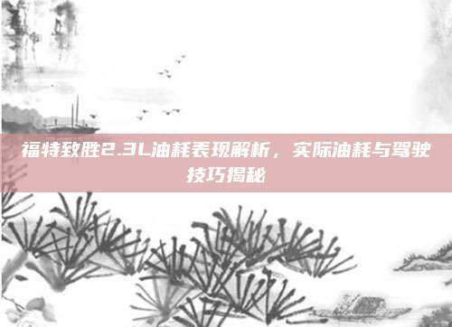 福特致胜2.3L油耗表现解析，实际油耗与驾驶技巧揭秘