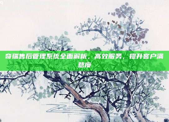 奇瑞售后管理系统全面解析，高效服务，提升客户满意度