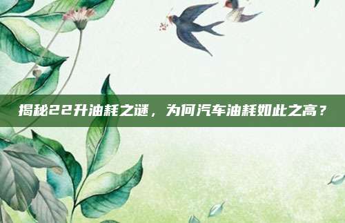 揭秘22升油耗之谜,为何汽车油耗如此之高?