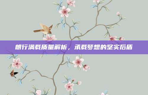 朗行满载质量解析,承载梦想的坚实后盾
