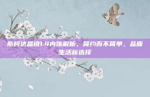 斯柯达晶锐1.4内饰解析,简约而不简单,品质生活新选择