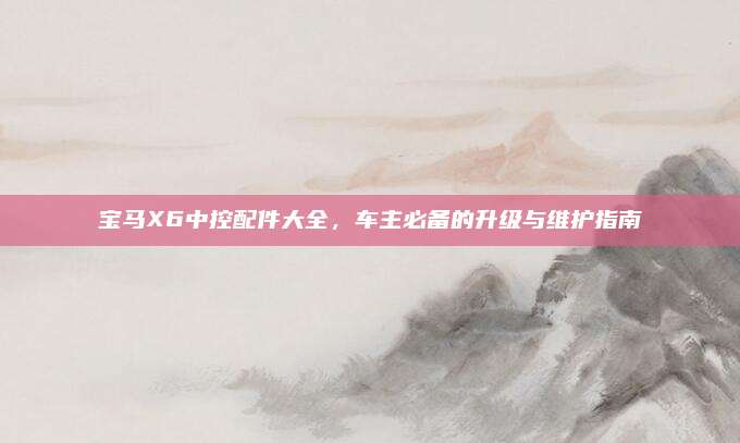 宝马X6中控配件大全,车主必备的升级与维护指南