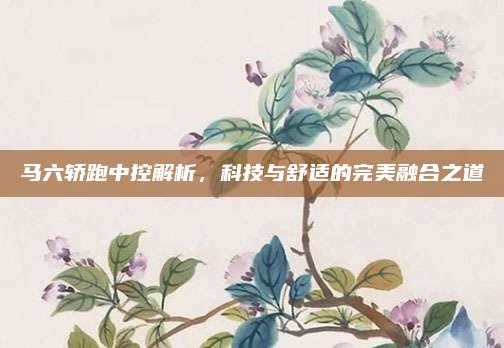 马六轿跑中控解析,科技与舒适的完美融合之道