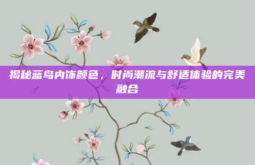 揭秘蓝鸟内饰颜色,时尚潮流与舒适体验的完美融合