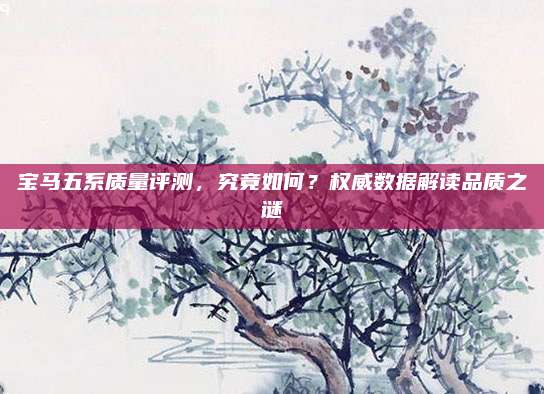 宝马五系质量评测,究竟如何?权威数据解读品质之谜