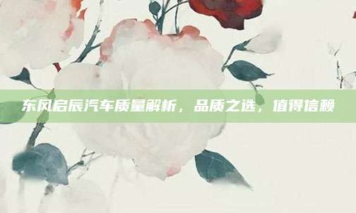 东风启辰汽车质量解析,品质之选,值得信赖