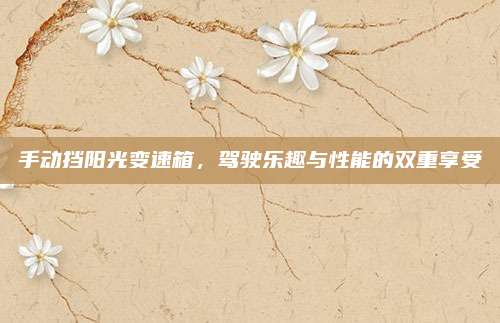 手动挡阳光变速箱,驾驶乐趣与性能的双重享受