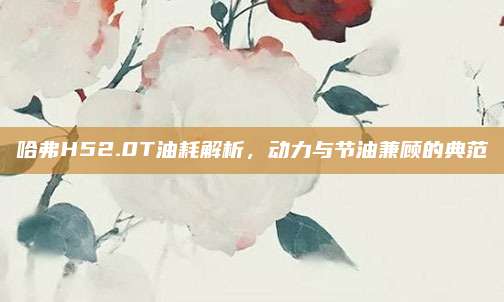 哈弗H52.0T油耗解析,动力与节油兼顾的典范