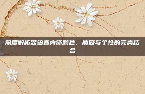 深度解析思铂睿内饰颜色,质感与个性的完美结合