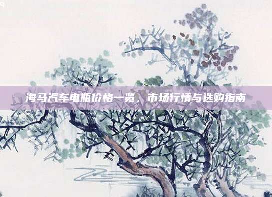 海马汽车电瓶价格一览,市场行情与选购指南