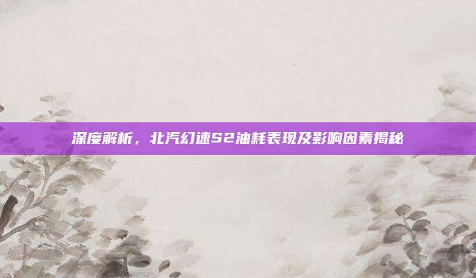深度解析,北汽幻速S2油耗表现及影响因素揭秘