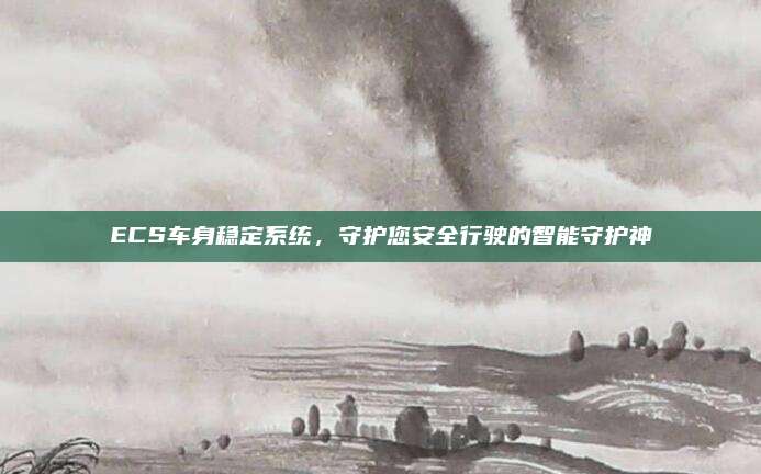 ECS车身稳定系统，守护您安全行驶的智能守护神