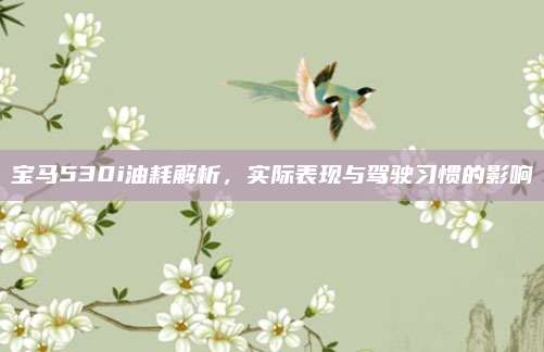 宝马530i油耗解析,实际表现与驾驶习惯的影响