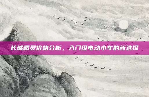 长城精灵价格分析,入门级电动小车的新选择
