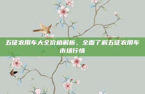 五征农用车大全价格解析,全面了解五征农用车市场行情