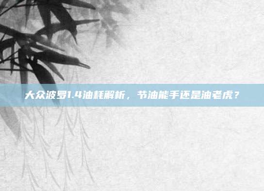 大众波罗1.4油耗解析,节油能手还是油老虎?