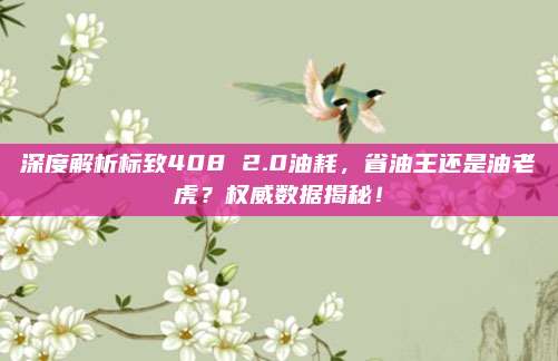 深度解析标致408 2.0油耗，省油王还是油老虎？权威数据揭秘！