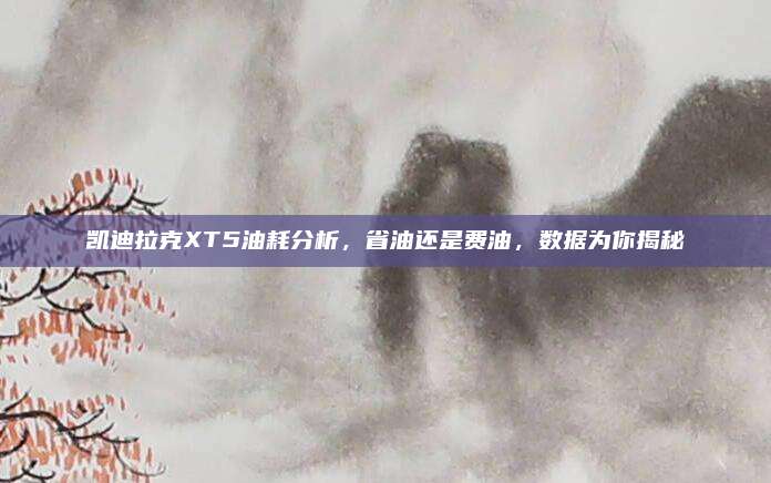 凯迪拉克XT5油耗分析,省油还是费油,数据为你揭秘