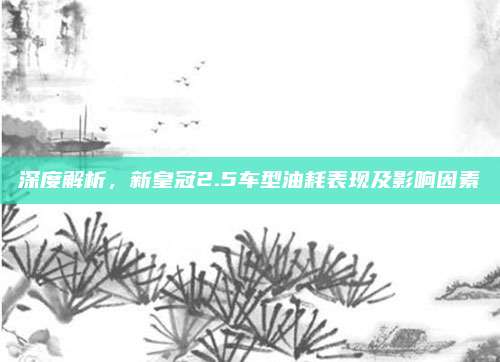 深度解析，新皇冠2.5车型油耗表现及影响因素