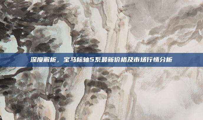 深度解析,宝马标轴5系最新价格及市场行情分析