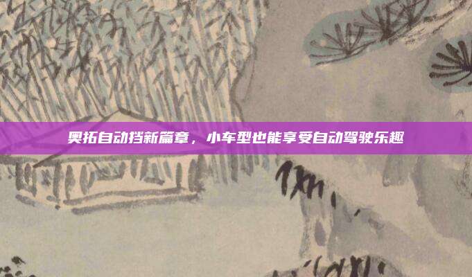 奥拓自动挡新篇章,小车型也能享受自动驾驶乐趣