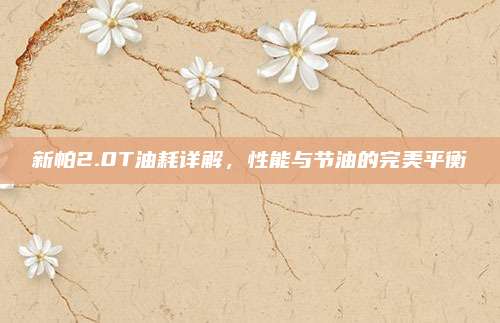 新帕2.0T油耗详解,性能与节油的完美平衡